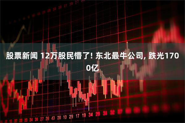 股票新闻 12万股民懵了! 东北最牛公司, 跌光1700亿